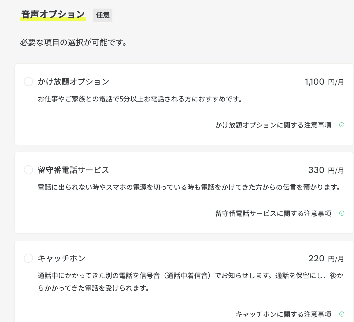音声オプション選択画面
