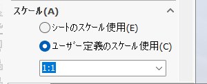 ビューのスケール欄。ユーザー定義のスケール使用が選ばれている